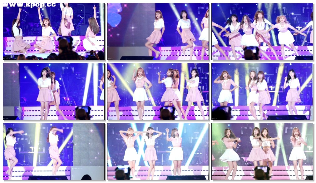 自动草稿 自动草稿