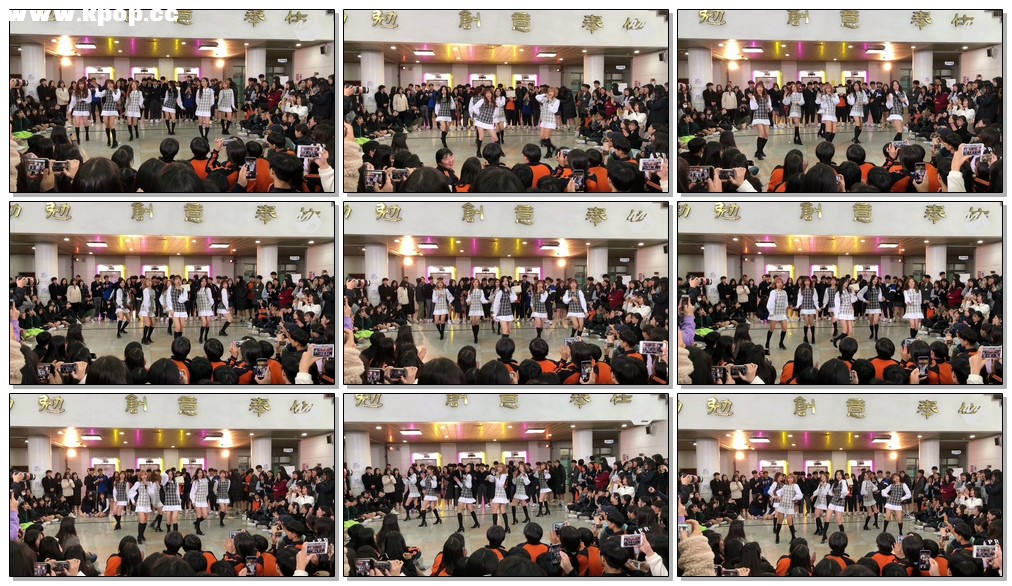 自动草稿 自动草稿