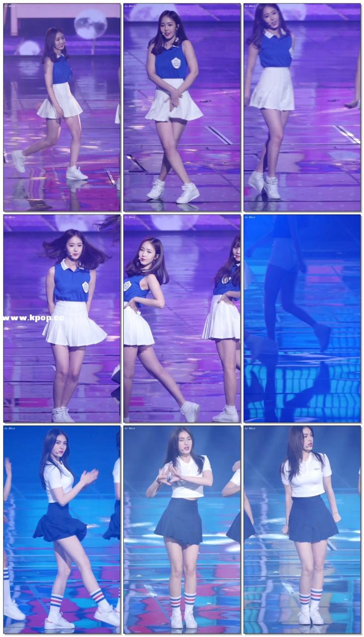 自动草稿 自动草稿