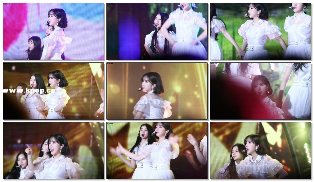 自动草稿 自动草稿