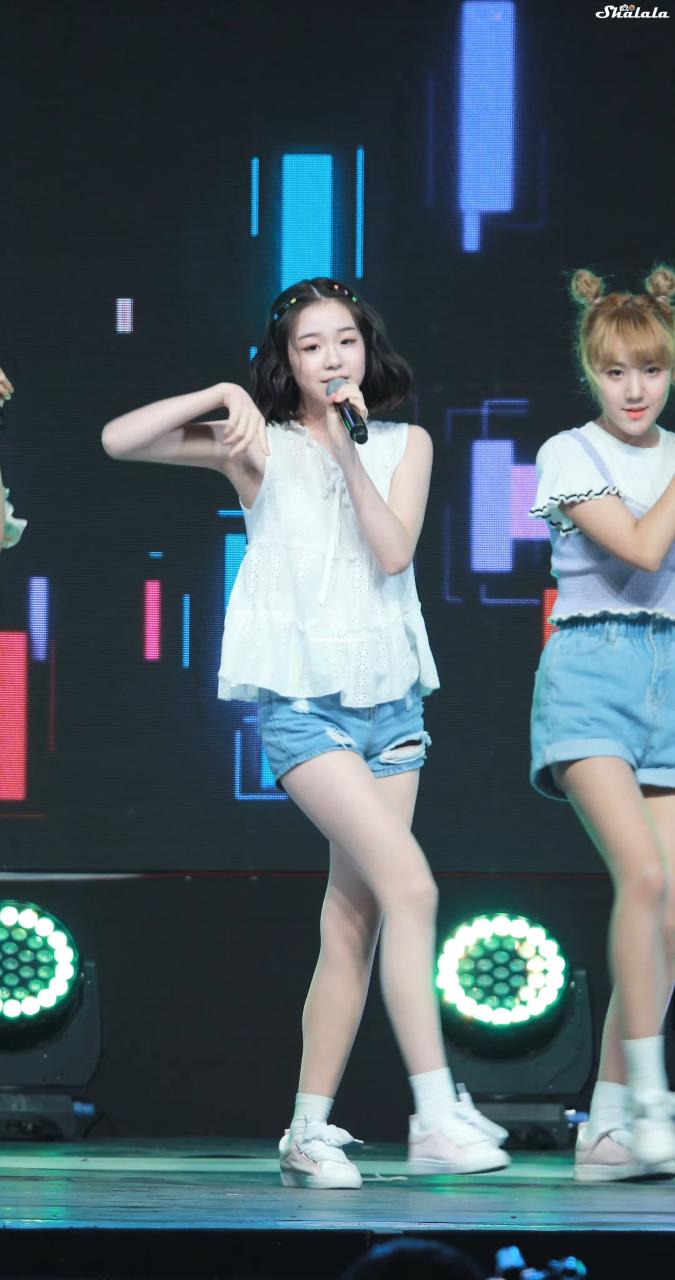 自动草稿 自动草稿