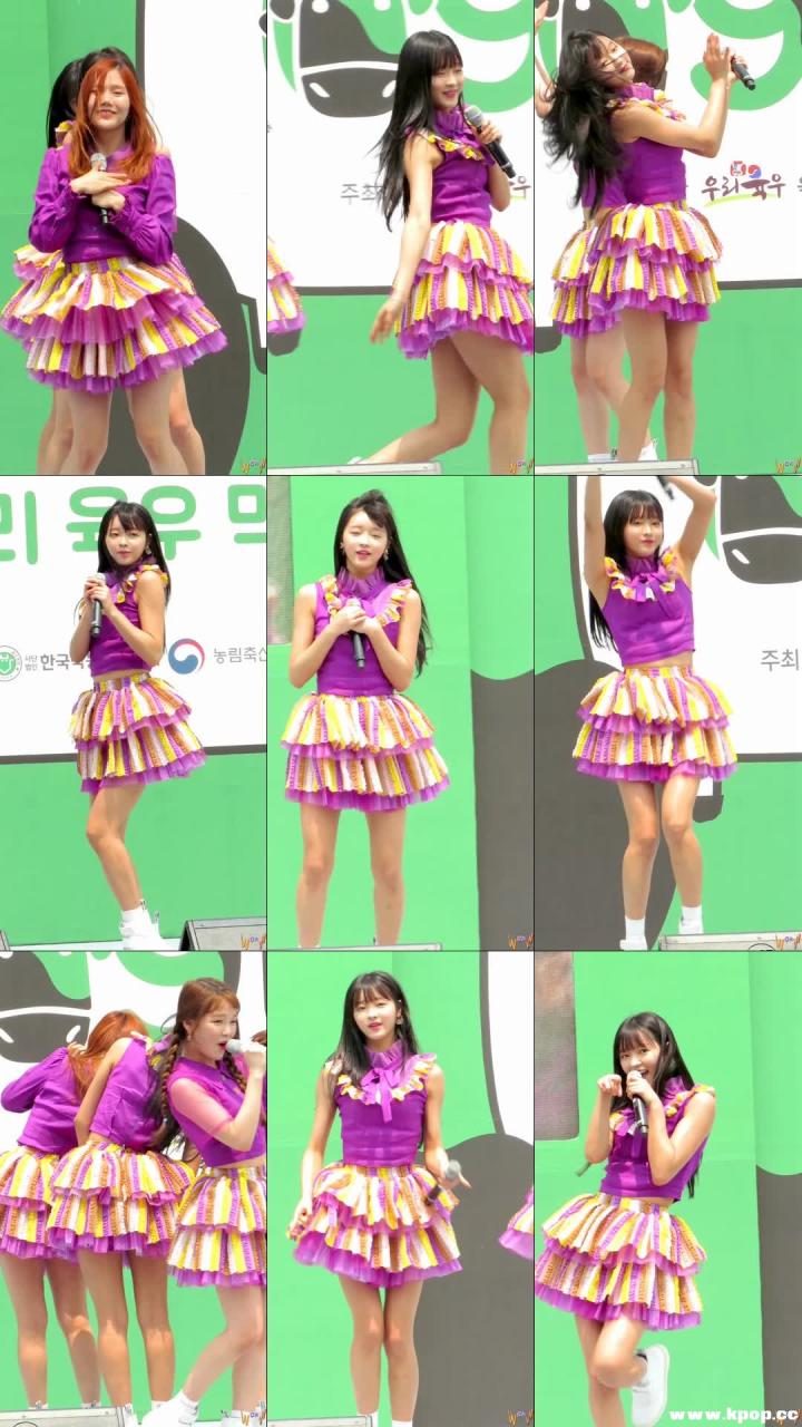 自动草稿 自动草稿