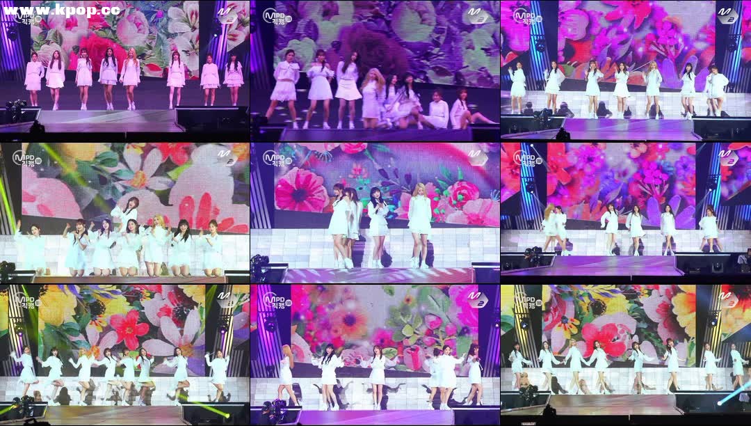 自动草稿 自动草稿