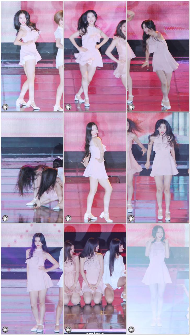 自动草稿 自动草稿